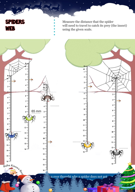Spiders Web worksheet 