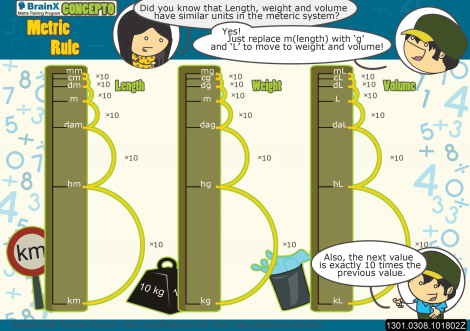 Metric Rule Concepto worksheet 